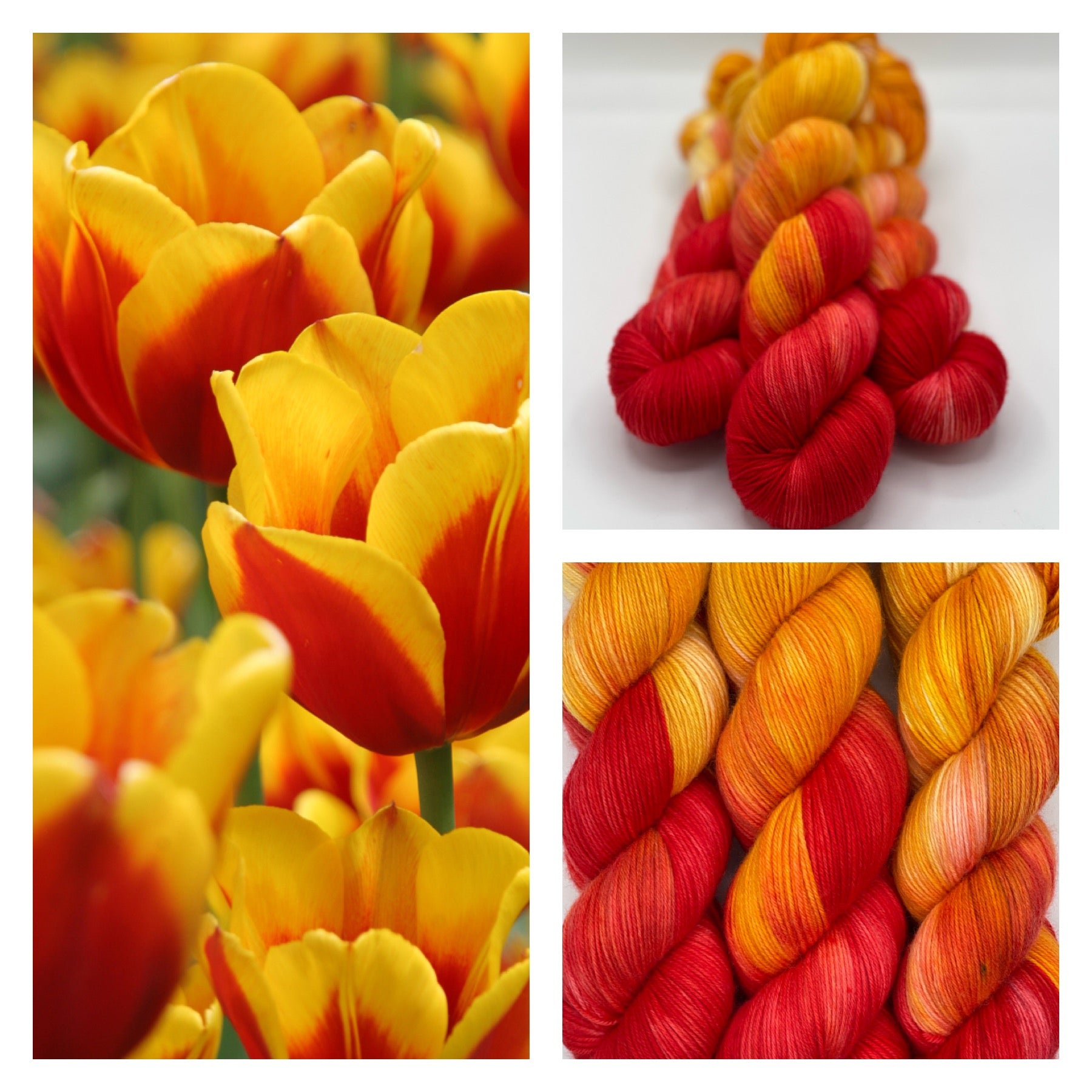Totally Tulips - Arcane Fibre Works